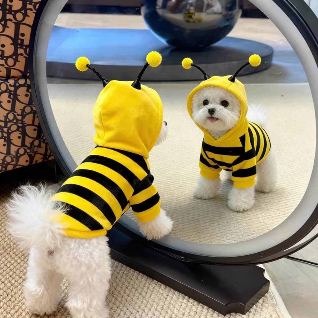 Cão outono inverno quente moletom abelha roupas Pomeranian Bichon Teddy pequeno cão roupas para animais de estimação gat