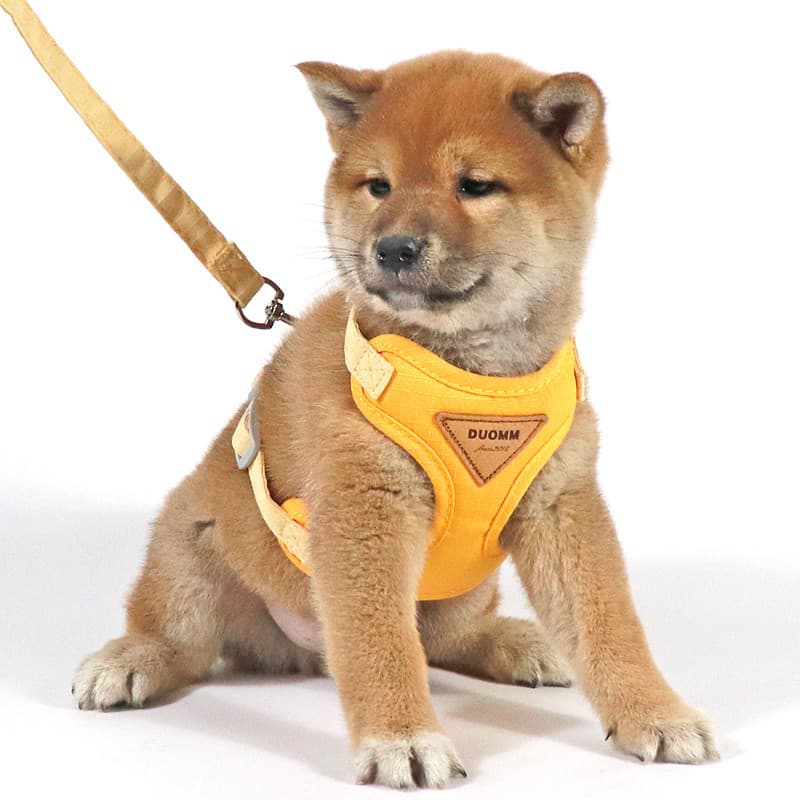 Coleira para cães tipo colete, coleira para animais de estimação, cinta peitoral, Anti-quebra, para cães pequenos, pelúc