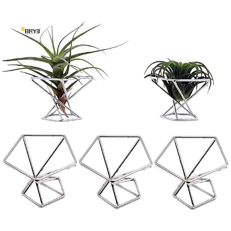 Pacote Com 5 Suportes Para Plantas De Ar , Suporte Display Tiltlandsias , Purificador Recipiente De Samambaia