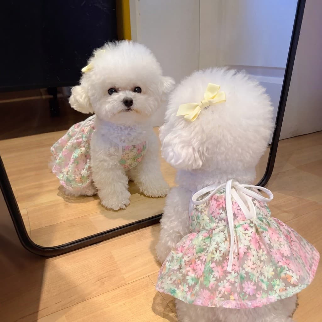Roupas para cães filhote de cachorro animal de estimação verão estilo fino colete Bichon pequeno cão gatinho Anti-fiapos