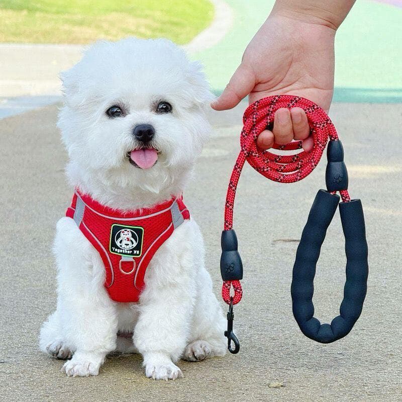 Coleira de cachorro tipo colete filhote de cachorro pequeno cinta peitoral Bichon Teddy Pomeranian cão andando trela fil