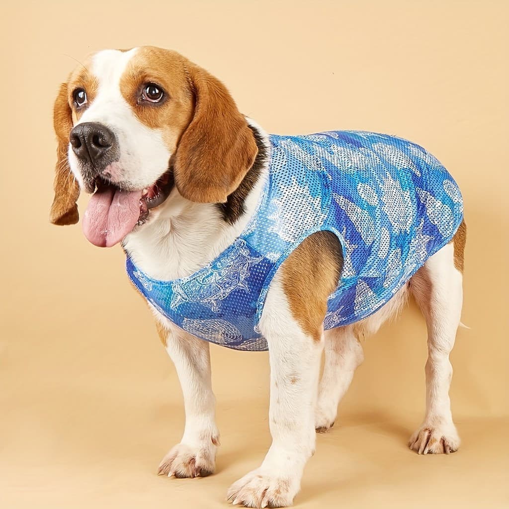 Camisas Esportivas Para Resfriamento De Animais De Estimação , Colete De Secagem Rápida , Roupas Cães Pequenos E Grandes