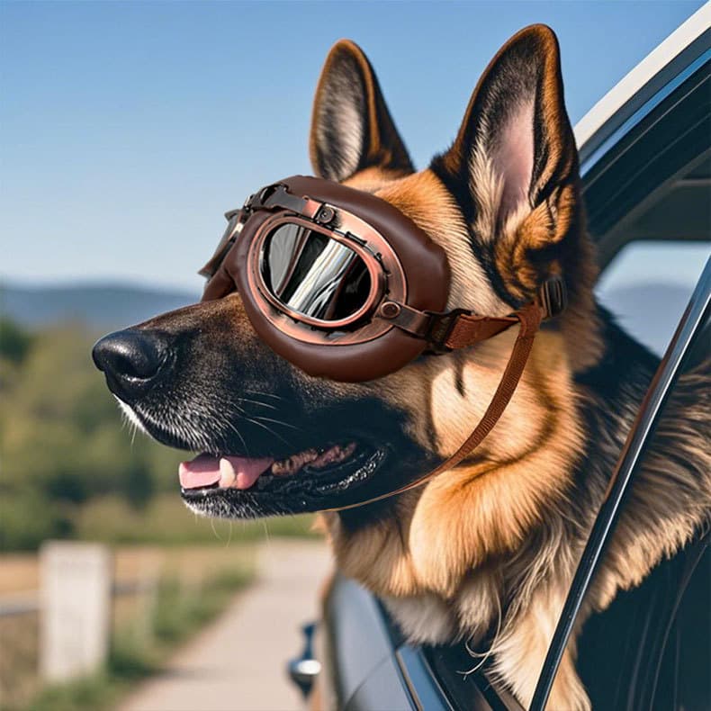 Óculos Para Animais De Estimação Estilo Retrô , De Proteção Pastores Alemães , Border Collies , Golden Retrievers Sol À