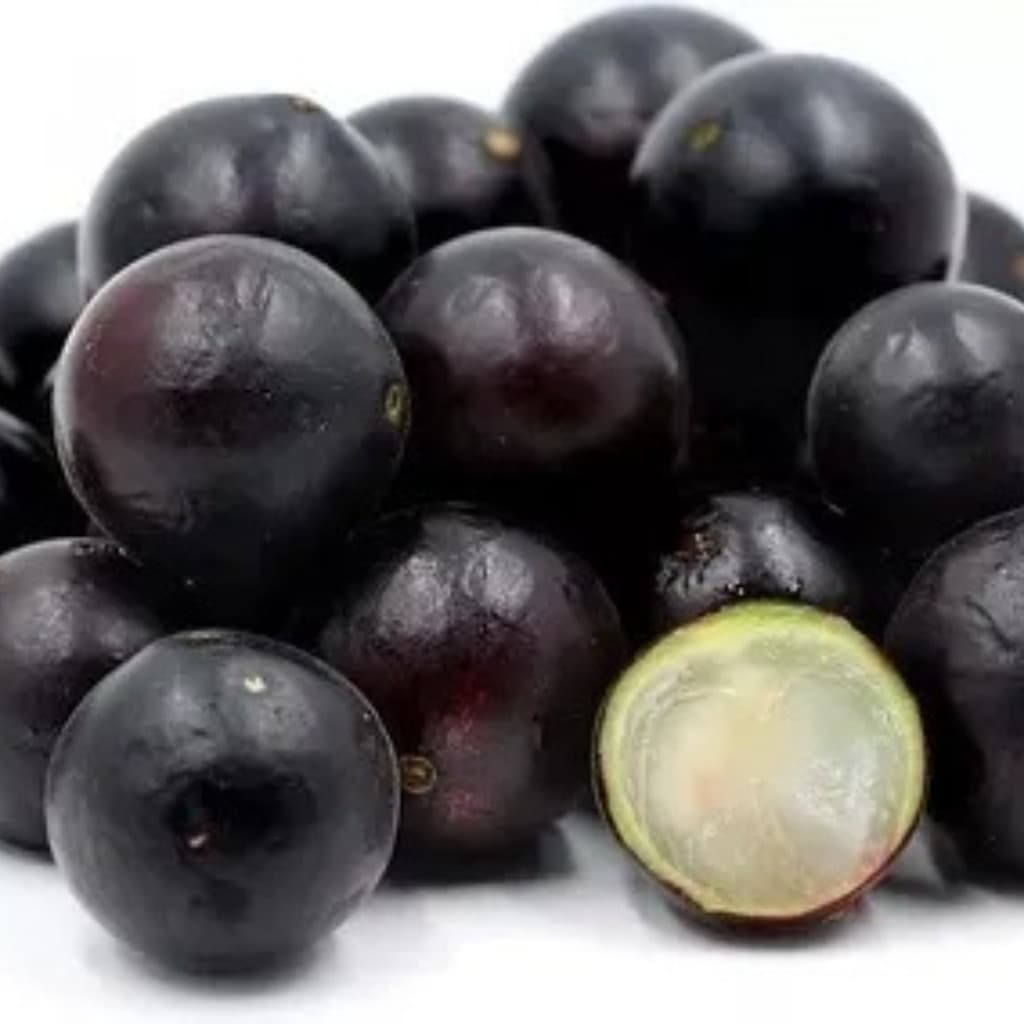 Sementes Original 30 Sementes De Jabuticaba Saba Híbrida P/ Plantio