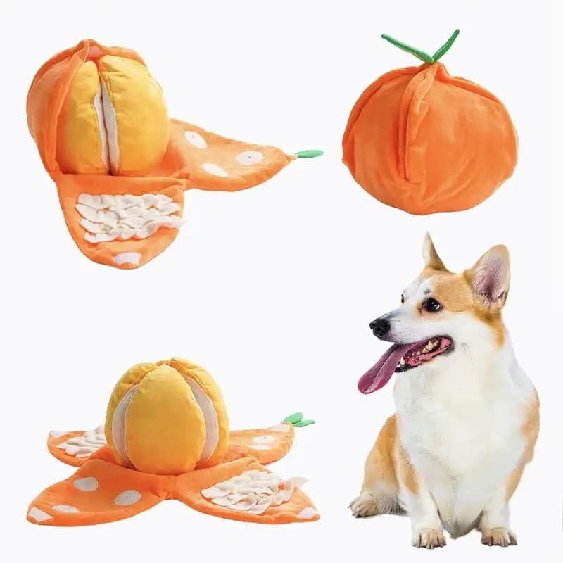 Nocciola Brinquedos de Enriquecimento para Cães 5 em 1 Laranja, 4 Fatias de Laranja com Tapete Olfativo para Caça de Pet
