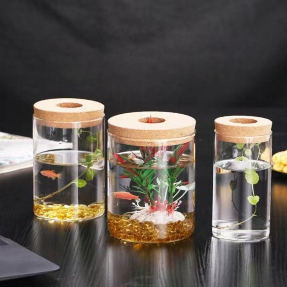 Vasos De Vidro Transparentes TEVO , Vaso De Flores De Plantas Hidropônicas Espessadas , Mini Ecológico