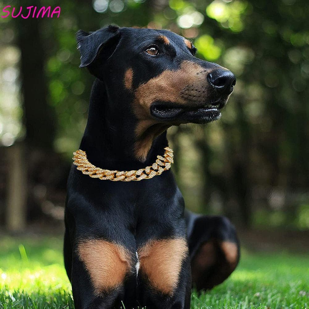 SUJIMA Colar Personalizado De Luxo Acessórios Para Cães De Combate Foto Adereços Metal