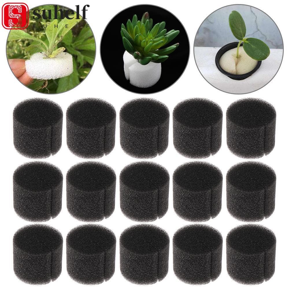 SUHELF 10/50pcs Esponja De Berçário Suprimentos De Jardim Bandejas De Plantio De Cultivo