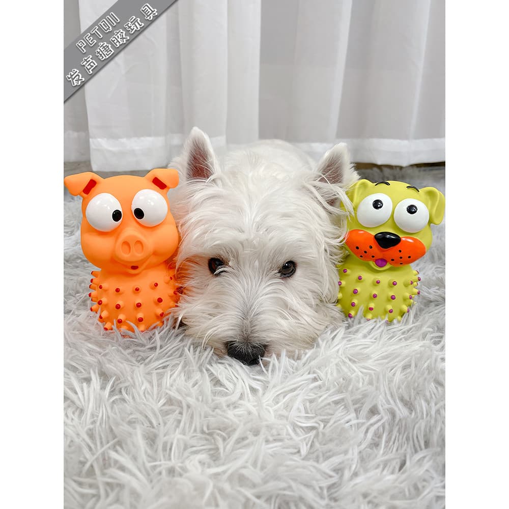 Brinquedo do cão voz aliviar o tédio ferramenta útil filhote de cachorro resistente à mordida Molar Teddy Corgi pequeno