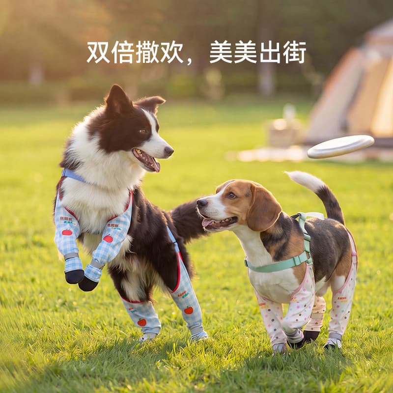 Sapatos para cães de quatro pernas, alça anti-queda, estilo respirável, à prova d'água, antiderrapante, sapatos para ani