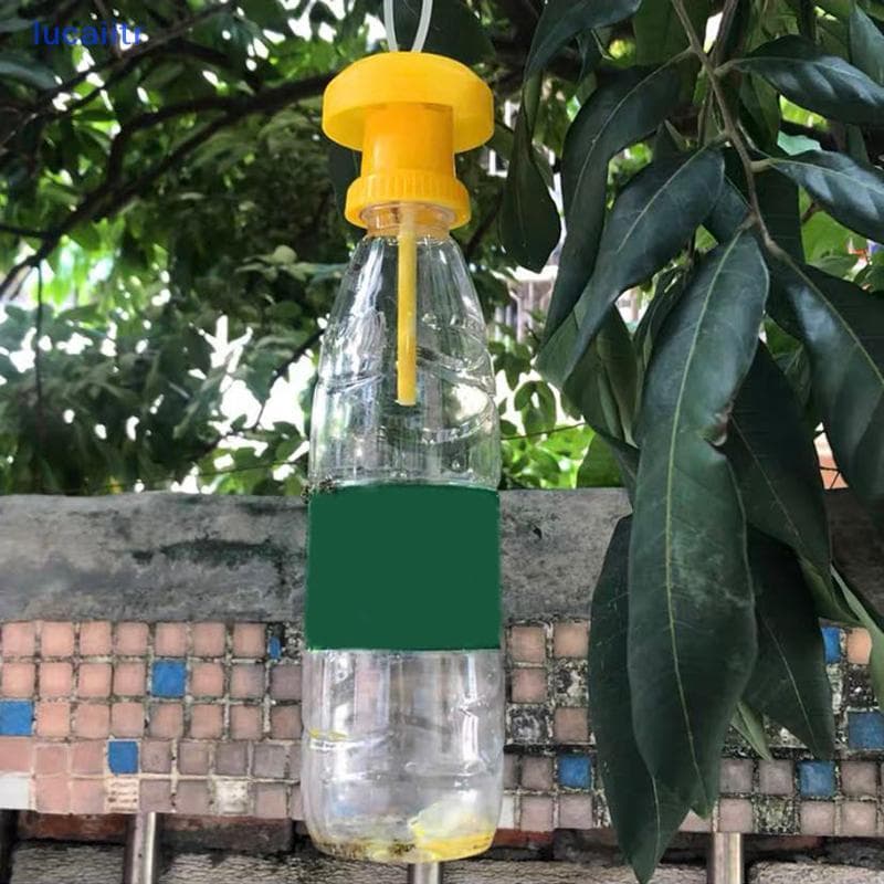 lucaiitr Fruit Fly Trap Killer Plástico Drosophila Armadilha Catcher Pragas Controle De Insetos BR