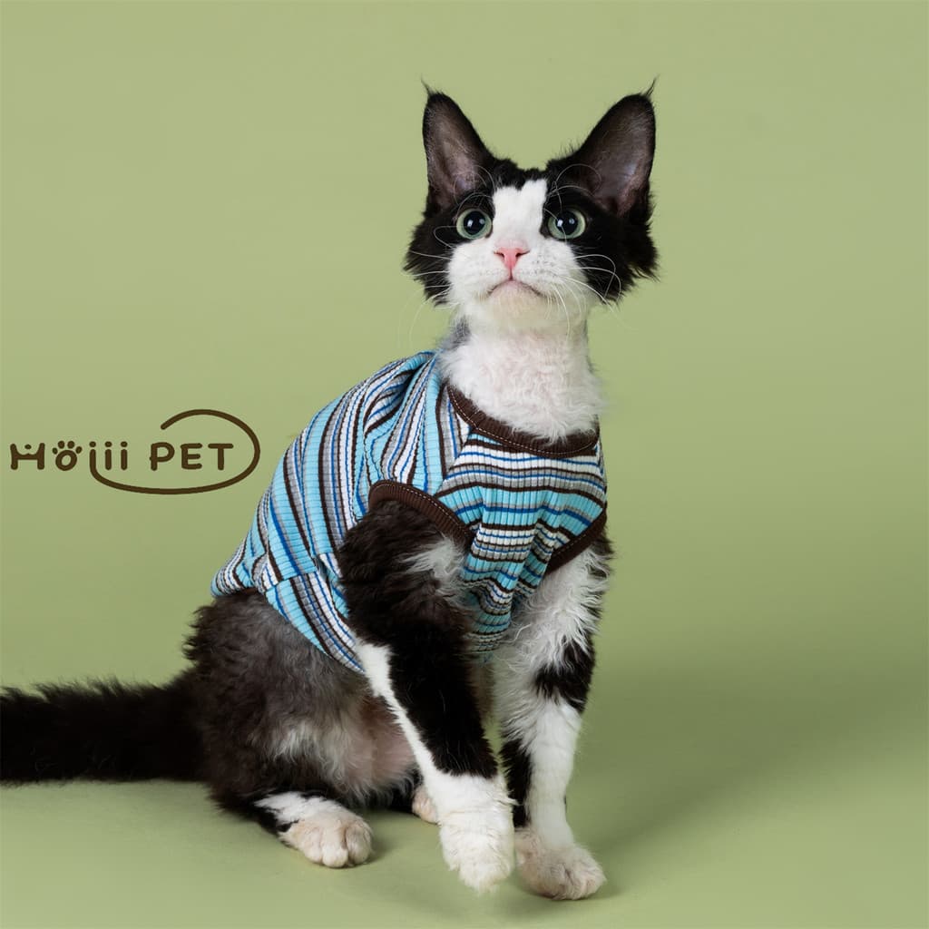 HOiii PET azul marrom listrado colete alemão roupas de gato puro algodão sem lã roupas de gato camisa de fundo roupas de