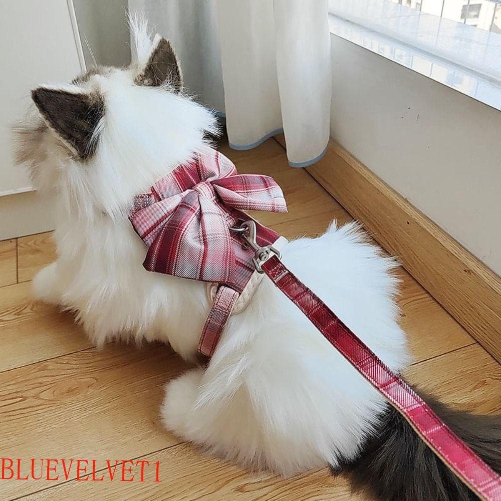 BLUEVELVET1 Arnês Para Gatos Com Laço , Coleira Cães Fivela Ajustável Estilo Colete , Corda De Tração Animais De Estimaç