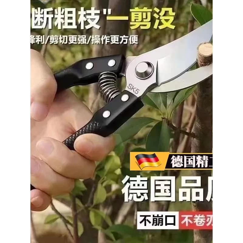 Tesouras de poda alemãs Seiko Tesouras de jardinagem poderosas SK5 Tesouras de galhos de frutas Tesouras de galhos de fl