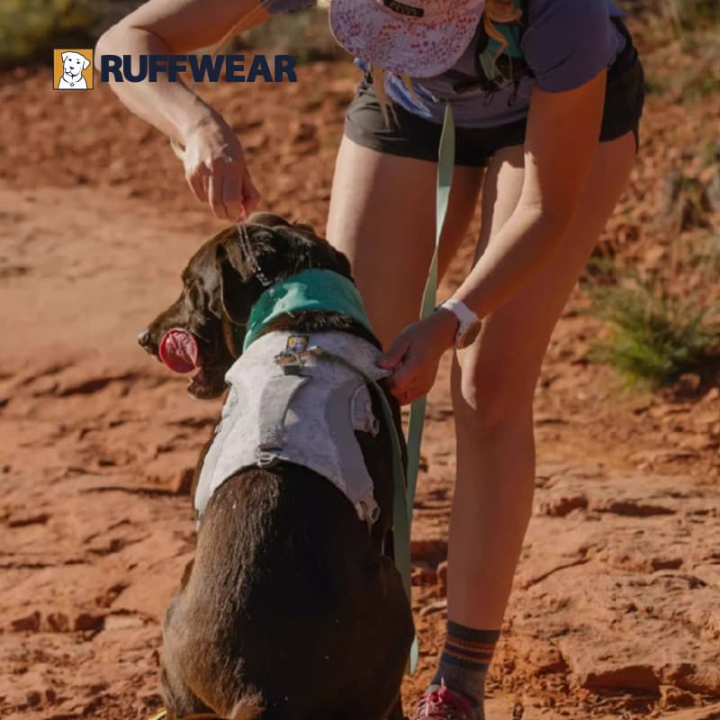 [Novo produto] Rafwell Cool Chest Back Verão Protetor solar Prevenção de acidente vascular cerebral Resfriamento à prova