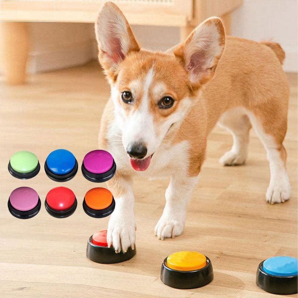 Brinquedos Para Cães Interativos Fácil De Transportar Botão De Som Fabricantes De Ruído Gravação De Voz Repetidor