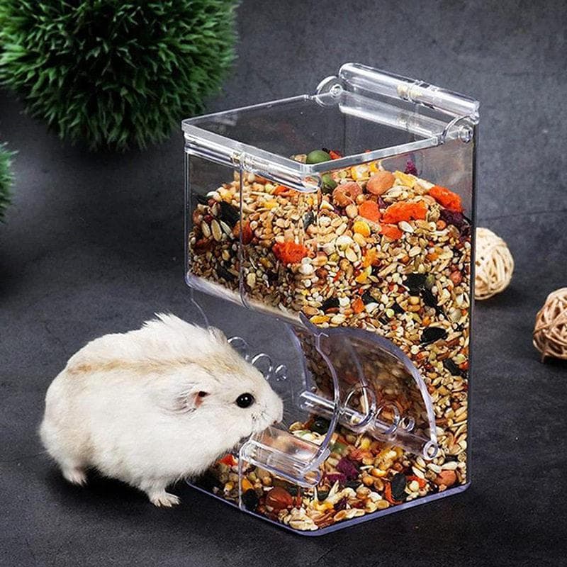 Alimentador automático de Hamster, tigela de comida de urso dourado Anti-giração, alimentação dedicada, fonte automática