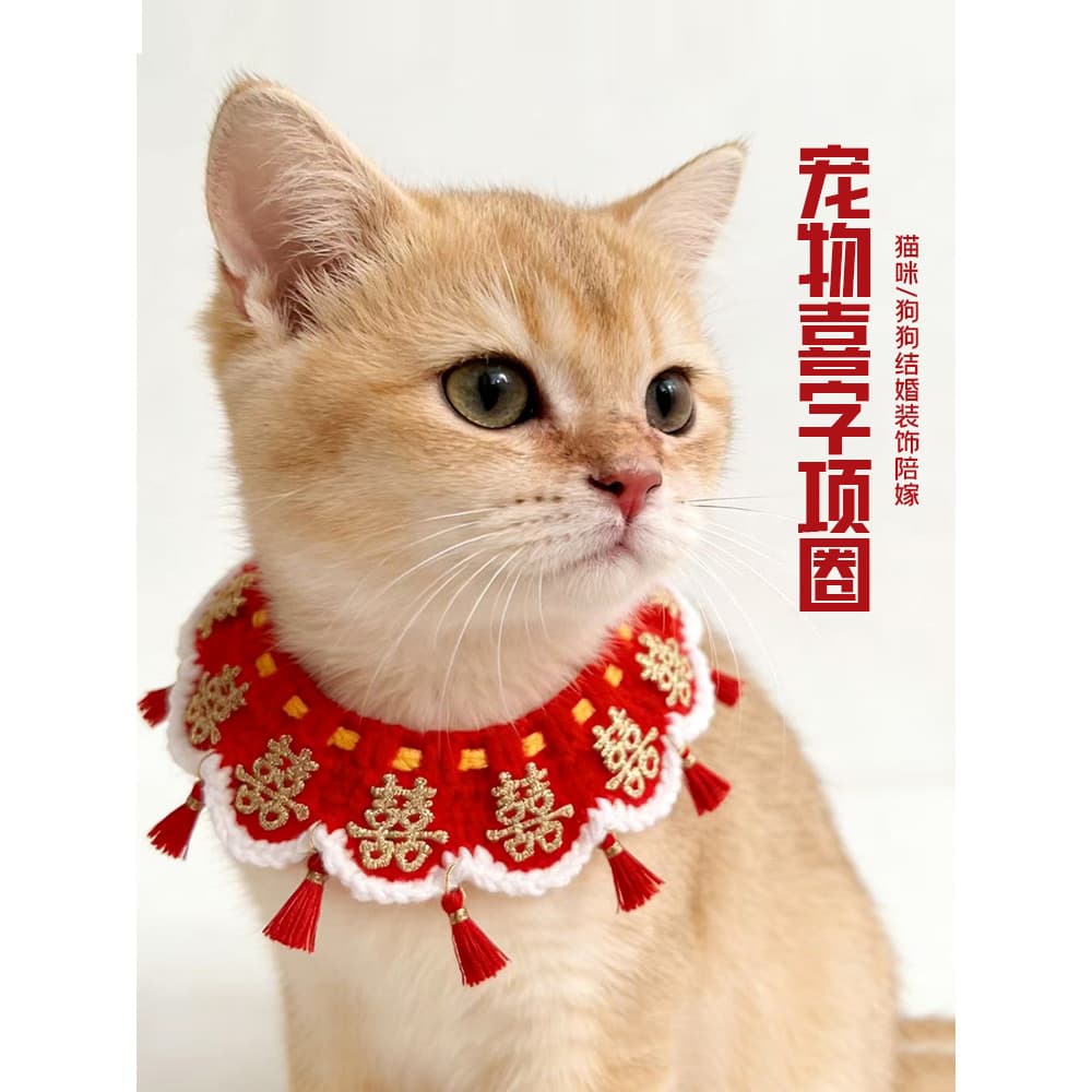 Suprimentos de casamento coleira de casamento para animais de estimação palavra feliz babador Animal dote vermelho cão g