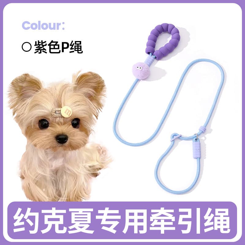 Yorkshire dedicado corda de tração pequeno corpo cão treinamento à prova de explosão p corda colar pequeno filhote de ca