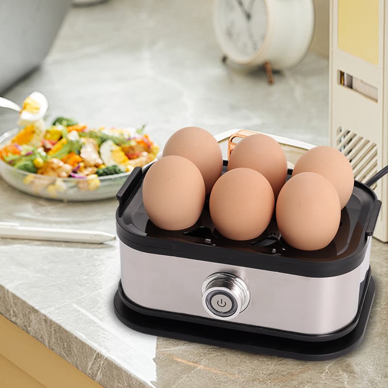 Caldeira de ovos padrão americano 110V, ferramenta multiuso para caldeira de ovos, dormitório doméstico, pequena máquina