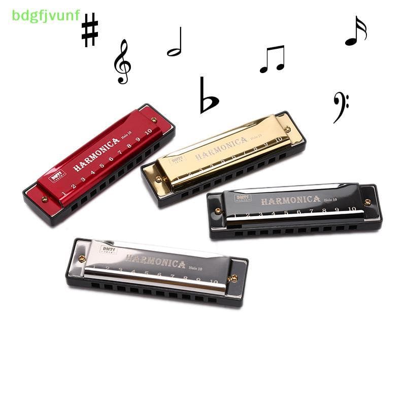 BDGF 10 Buracos Gaita Boca Órgão Quebra-Cabeça Instrumento Musical Iniciante Ensino BR