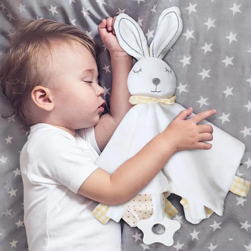 Brinquedos De Pelúcia Do Bebê Dormindo Para Bebês 0 12 Meses Macio Apaziguar Toalha Animais Brinquedo Consolador