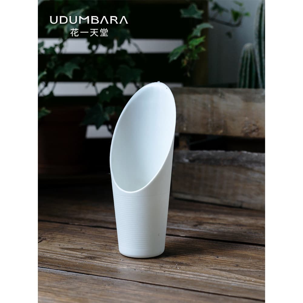 Pá suculenta espessada multicolorida, plástico, planta verde, remoção de flores, ferramentas de jardinagem em vasos, pot