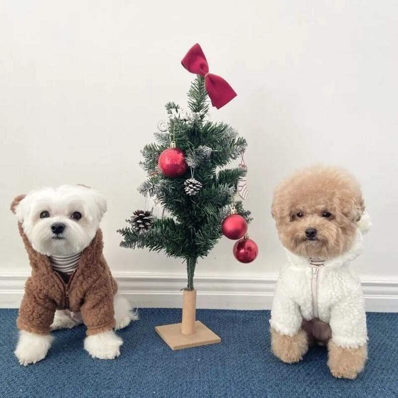 Casaco de Lã para Cães Teddy com Zíper, Roupas de Inverno para Animais de Estimação, Camisetas para Filhotes e Gatos, Ca