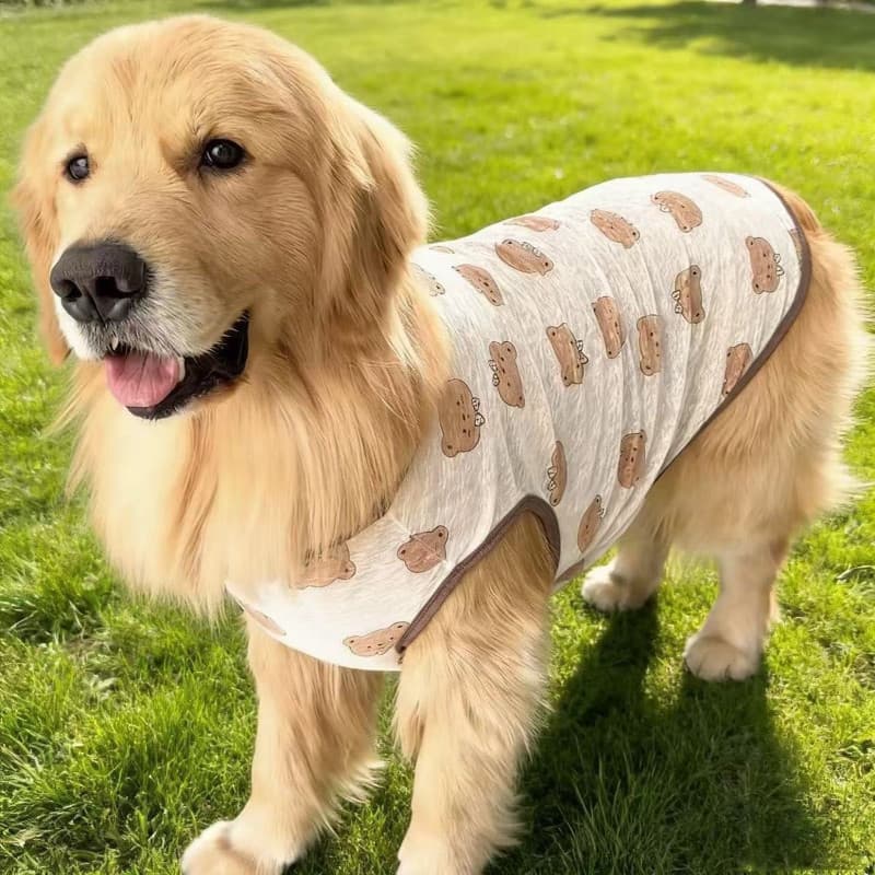 Roupas Para Cães Grandes , Colete Golden Retriever , Labrador , Alaska , Verão , Sem Mangas , Camiseta Grande , Respiráv