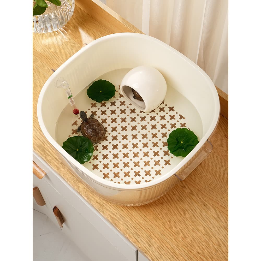 Tanque de criação de tartarugas, tanque de peixes, casa, sala de estar, dormitório, Desktop, paisagismo, pequeno Tur bra