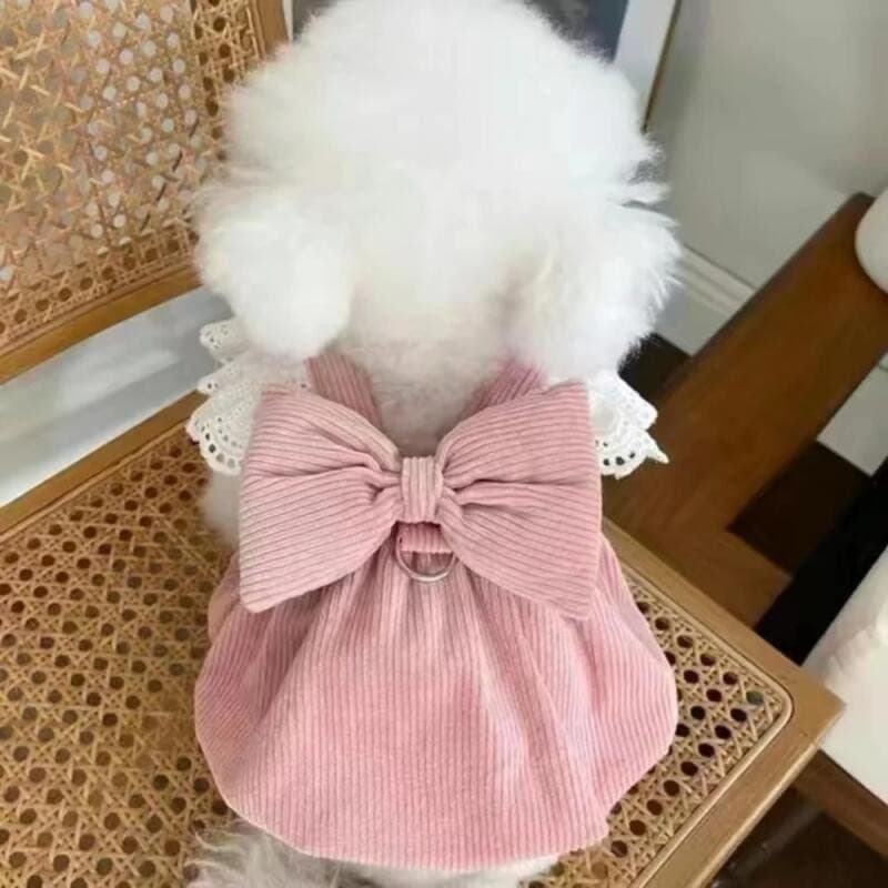 Small Dog Winter Clothes Princess Dress Pet Bowknot Skirt Autumn Winter Sweet Sweater Cat Fashion Warm Coat Puppy Yorksh