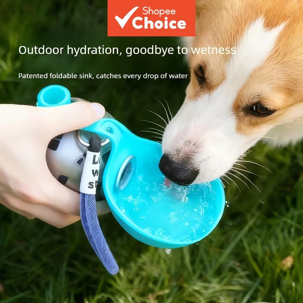 Acessórios para animais de estimação: bebedouro portátil de aço inoxidável para gatos e cães, dobrável, de alta