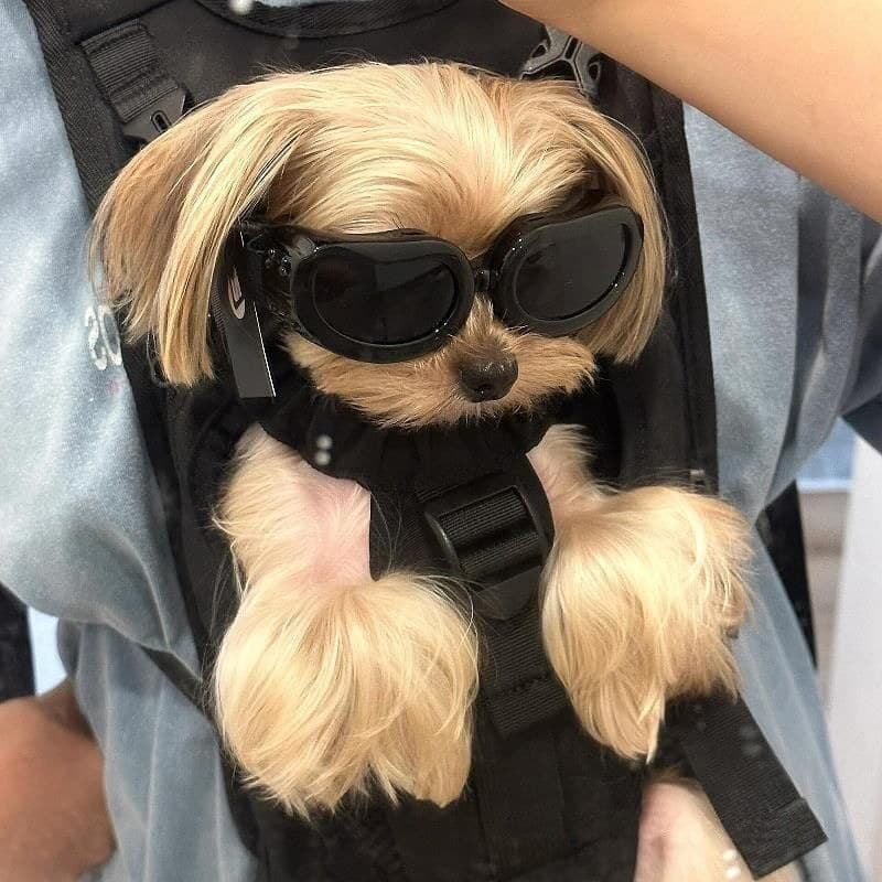 Óculos para cães de estimação, óculos de sol fofos à prova de vento, óculos ultravioleta para cães pequenos e médios