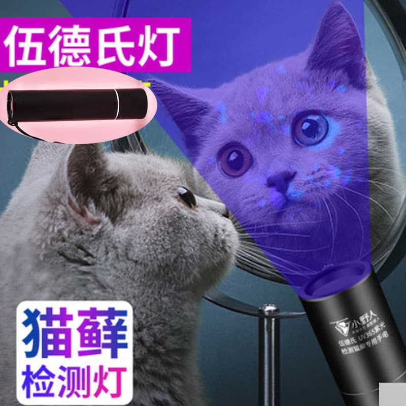 Novo estilo preto espelho madeiras lâmpada 395nm gatos lâmpada Laser gatos fungo gatos detecção lanterna de aço inoxidáv