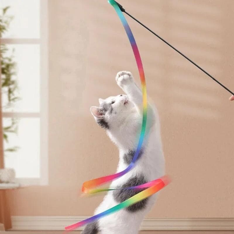 Fita Colorida Interativa Brinquedos Para Gatos Provocando Catd Vara De Cetim Gato Gatinho Jogando Teaser Varinha Brinque
