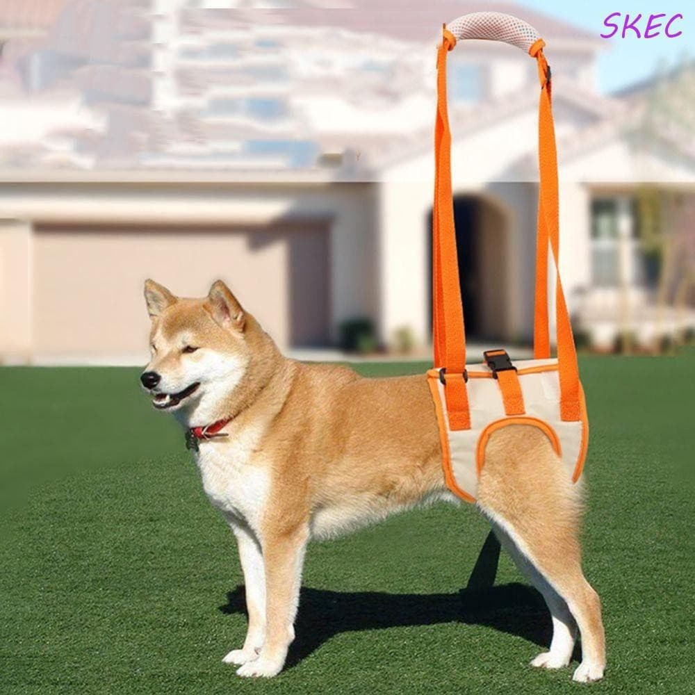 SKEC Arnês De Suporte Para Cães Correias Ajustáveis Elevação De Pernas Traseiras Quadril Colete De Recuperação Animais D