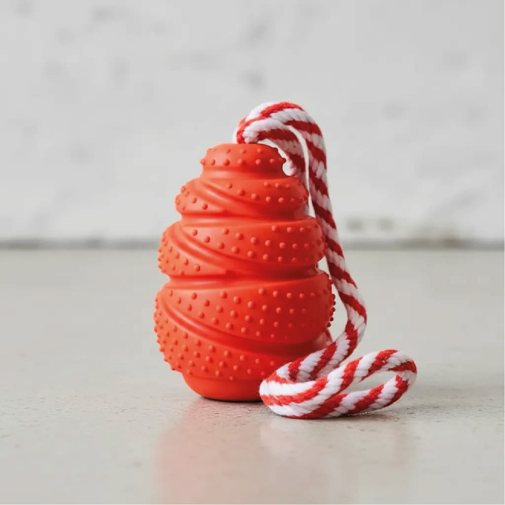 Brinquedo Mordedor Pequeno Cone Resistente Corda Cachorro