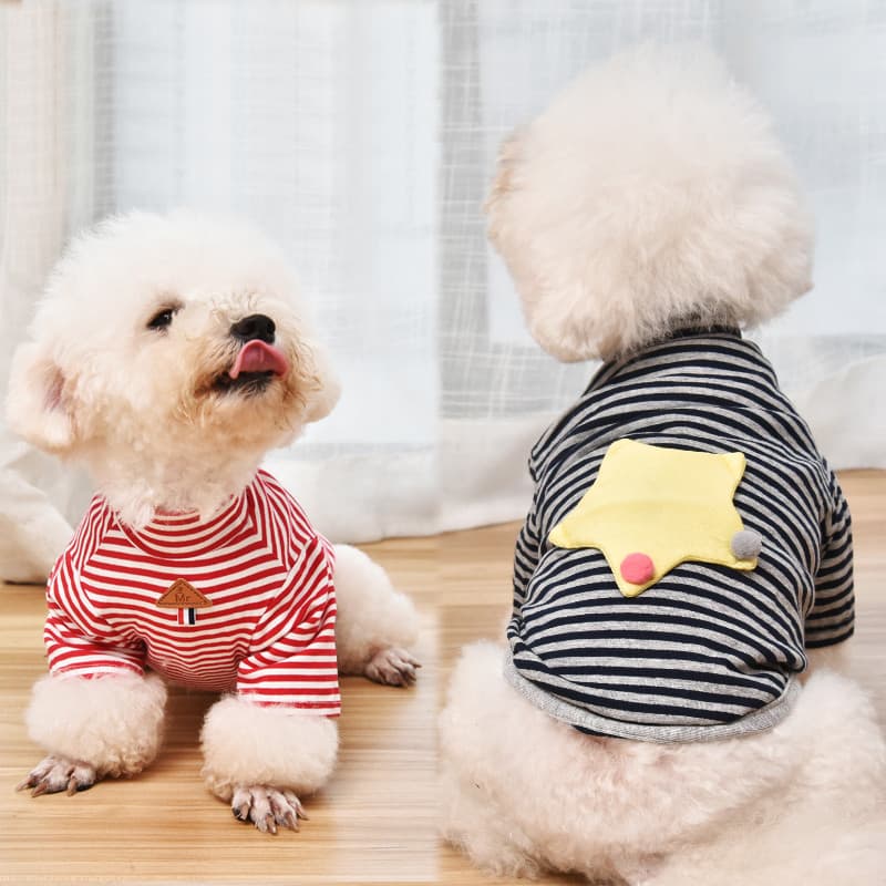 Roupas de cachorro outono inverno estilo Teddy Corgi Bichon francês luta outono roupas gato animal de estimação pequeno