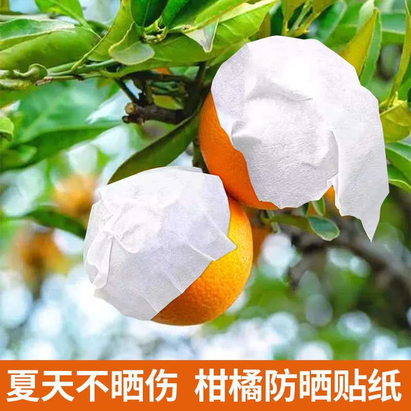 Adesivo protetor solar laranja cítrico Baba laranja umbigo laranja queima japonesa resistente a altas temperaturas espes