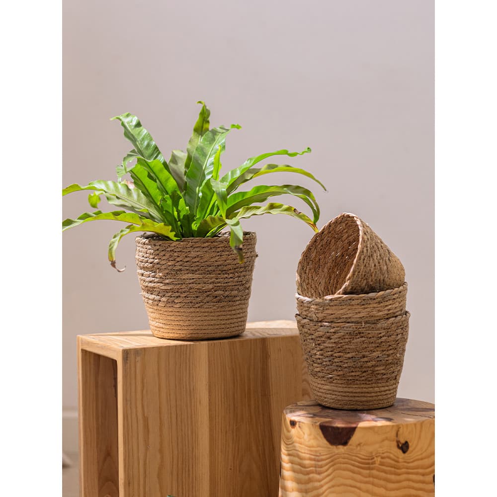 Conjunto de vaso de flores tecido pote palha tecido vaso capa conjunto feio vaso capa Rattan vaso planta verde cesta tec