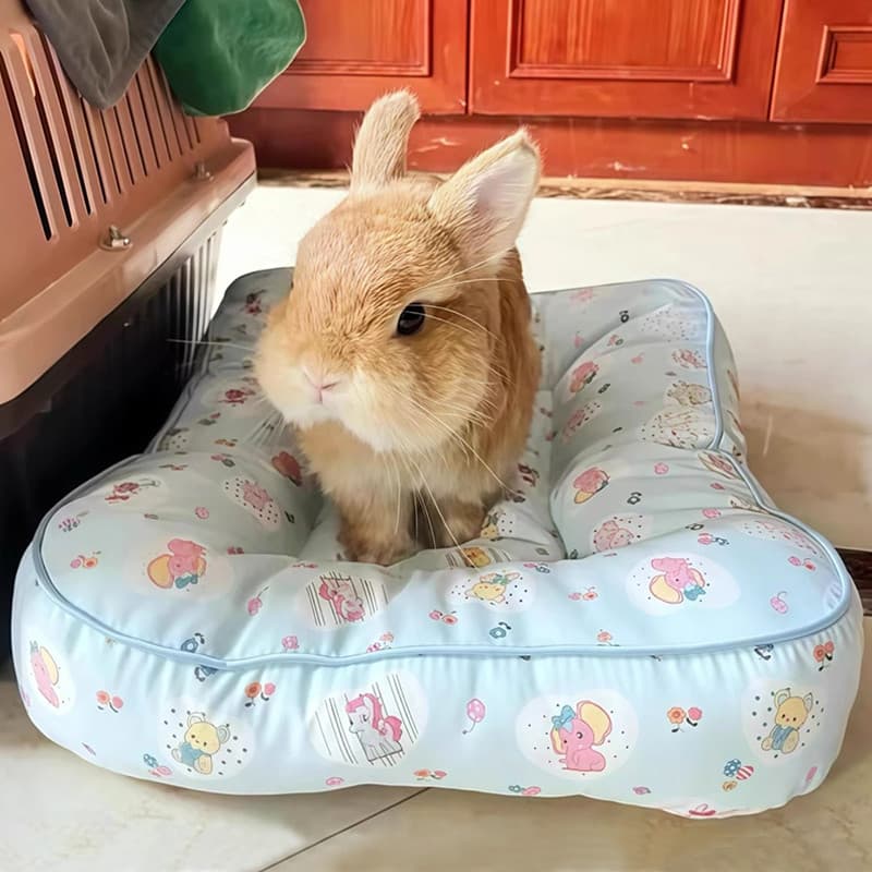 Coelho coelho cama deitado almofada quatro estações Universal coelho almofada de dormir canil cama de gato engrossado tr