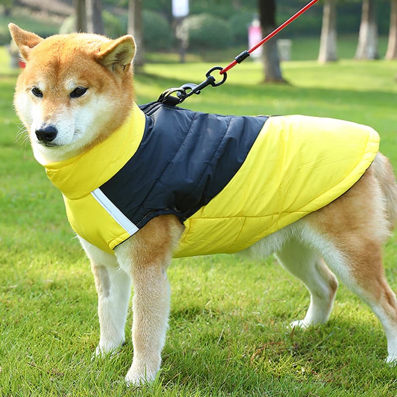 Roupas para cães médios grandes 2025 novo estilo outono inverno roupas quentes médio grande cães à prova de vento colete