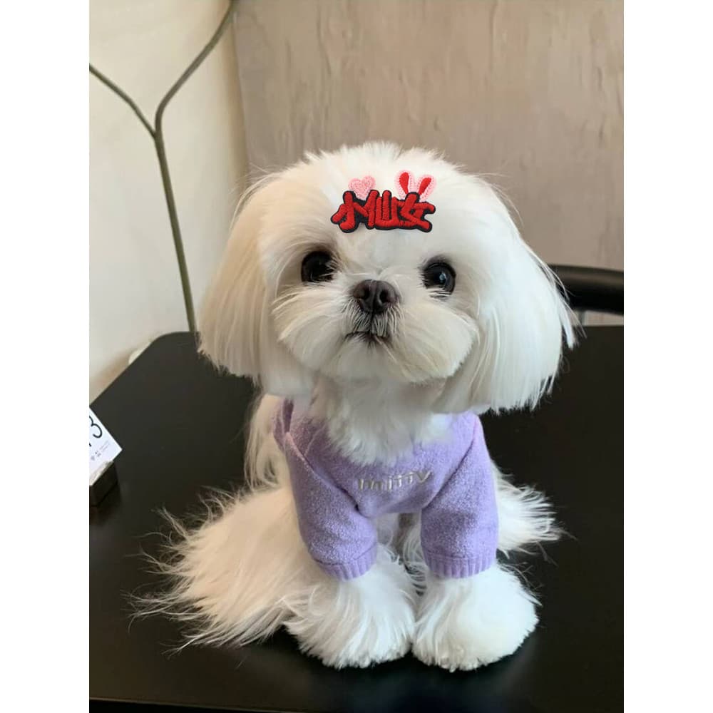 Cão hairpin Headdress maltês animal de estimação pequeno hairpin Mini franja clipe maltês filhote de cachorro Bichon alt