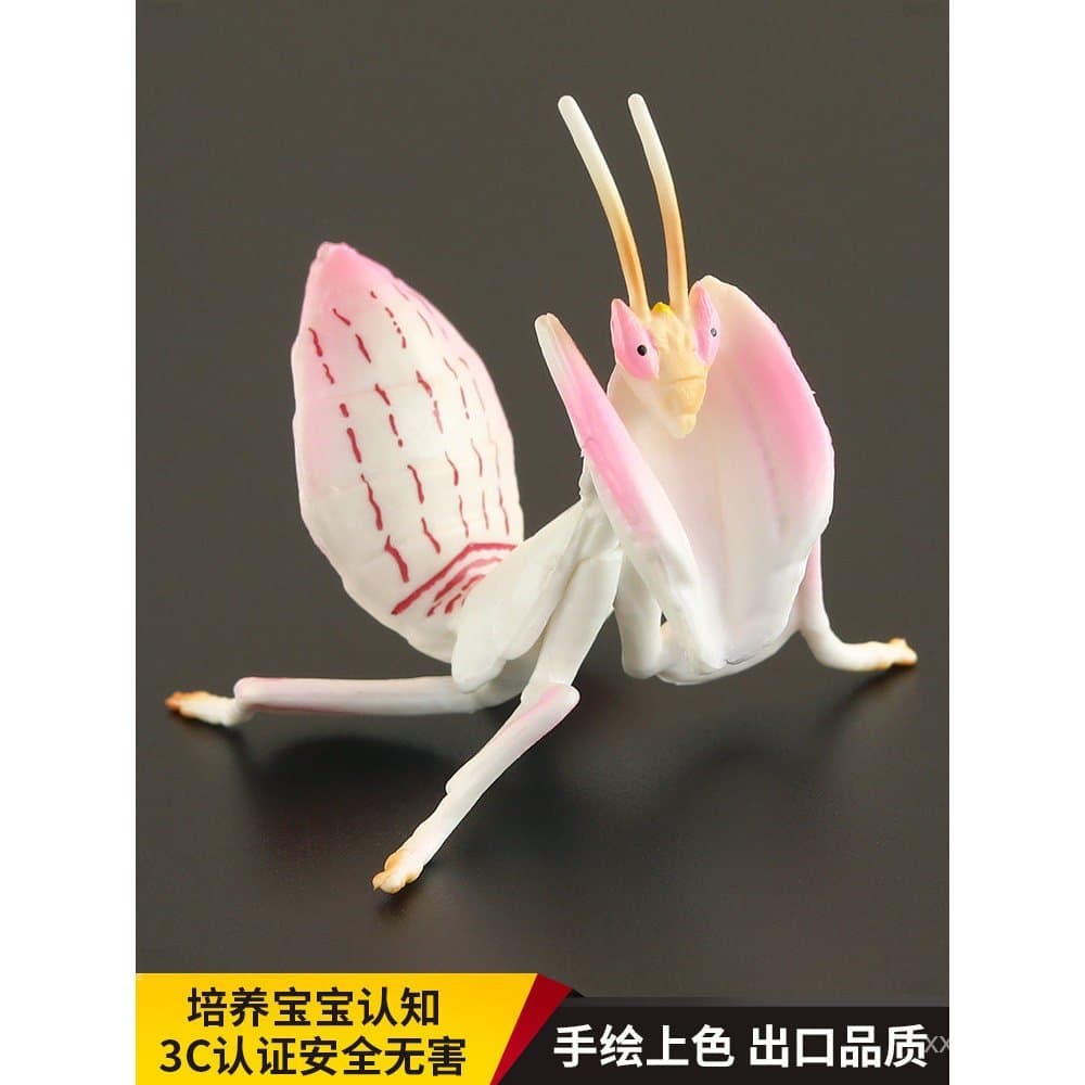 Modelo sólido de brinquedo de inseto simulado para crianças: imitação de louva-a-deus orquídea, presente cognitivo decor