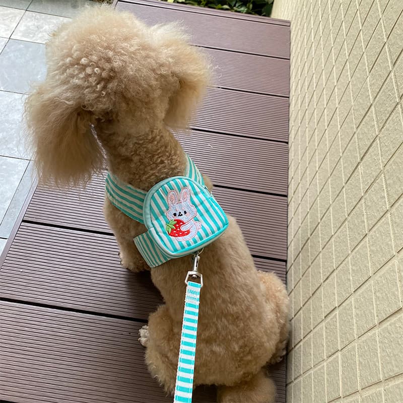 Bonito cinto mochila Pet trela pequeno cão Teddy Bichon colete estilo passeio cão corda deslizante corrente do cão