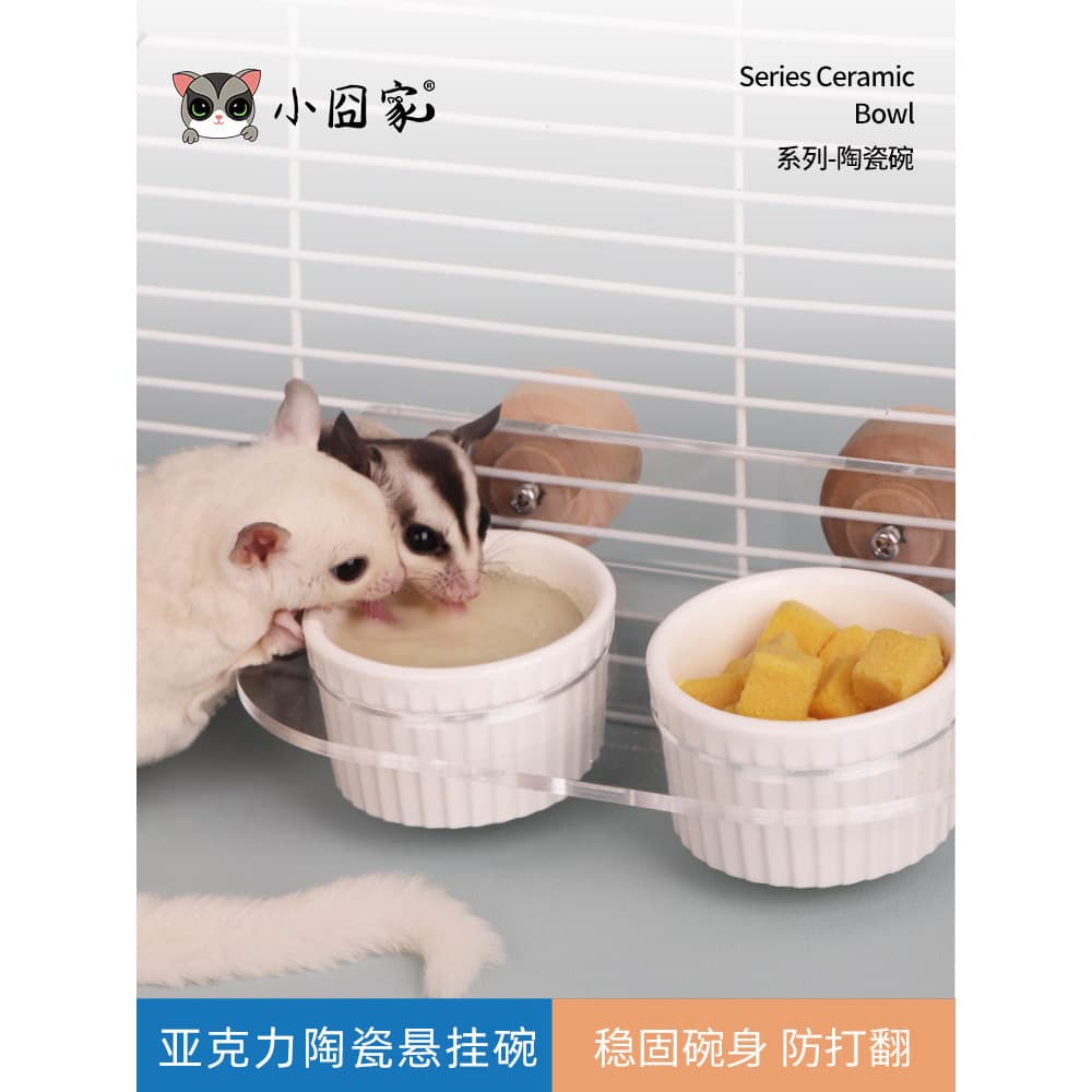 Hamster flor ramo rato tigela de cerâmica Anti-derrubamento pendurado alimentador mel planador tigela de comida papagaio