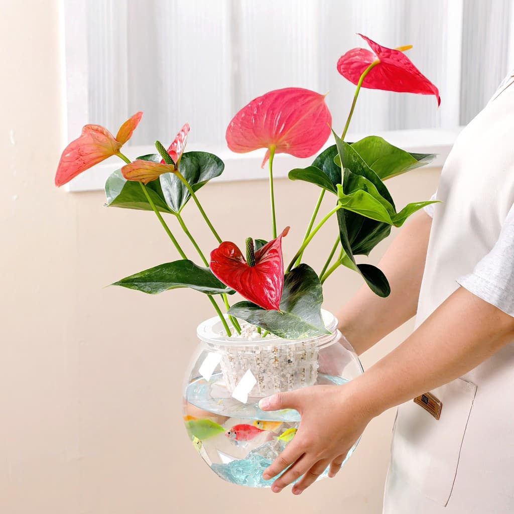 Novo transparente absorção automática de água cultivo do solo planta verde endro verde vaso de flores preguiçoso vaso hi