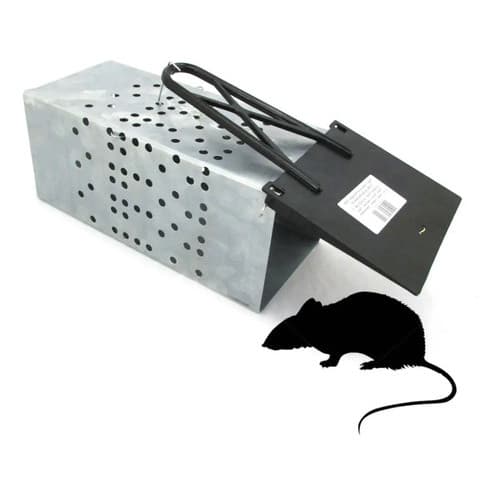 Ratoeira Gaiola Grande Com Mola Para Ratos E Ratazanas 30Cm