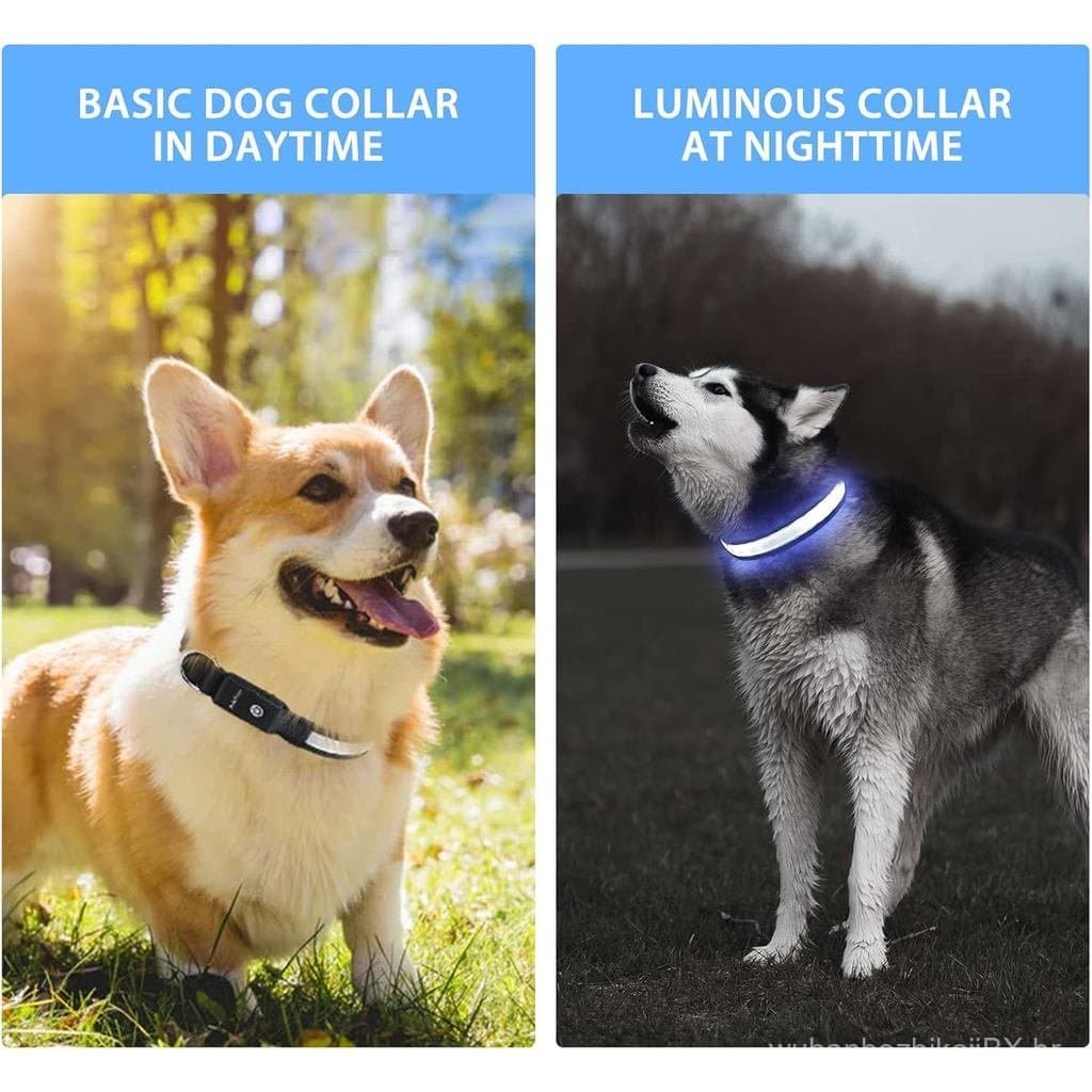Coleira Luminosa para Cães PcEoTllar para Passeios Noturnos - Coleira LED Recarregável com Mudança de Cor, Coleiras Bril