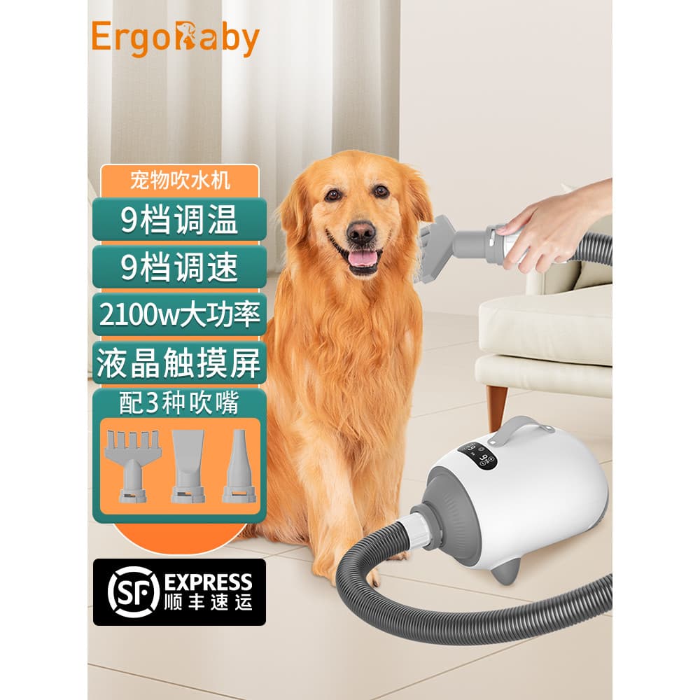 Secador de água para animais de estimação Secador de cabelo doméstico Secador de cabelo para cães e gatos Especial para
